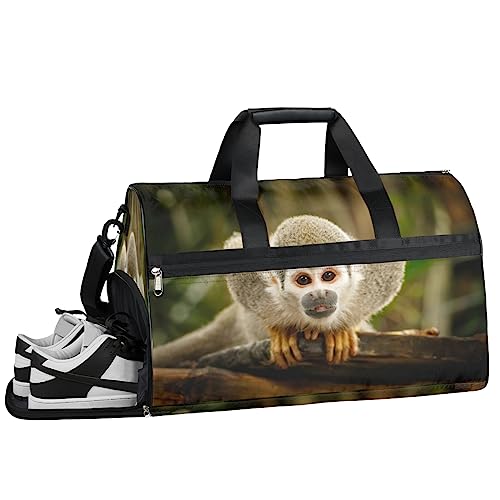 Affe Palmenblätter Turnbeutel Sport Turnbeutel mit Nassfach & Schuhfach Turnbeutel für Damen Turnbeutel für Männer Workout Tasche Sportbeutel Weekender Bag mit Schuhfach, Affenmuster, 19.7*9.9*13 von Tavisto