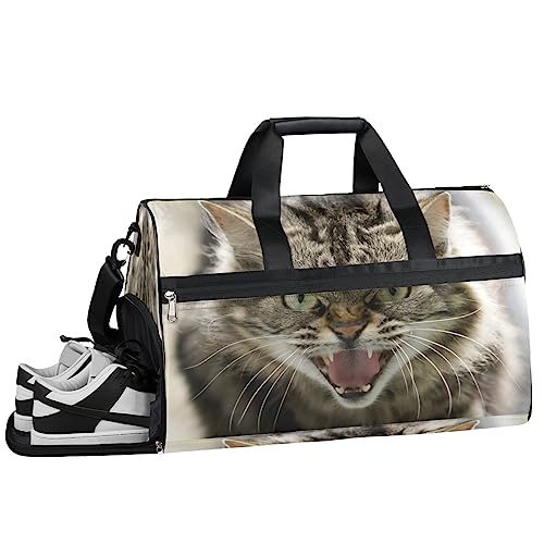 Ancient Dinosaurs Turnbeutel, Sport Turnbeutel mit Nassfach & Schuhfach, Turnbeutel für Damen, Turnbeutel für Männer, Workout Tasche, Sporttasche, Weekender Bag mit Schuhfach, Angry Cat, 19.7*9.9*13 von Tavisto