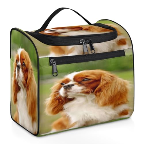 Doberman Hunde-Make-up-Tasche für Damen, große Kapazität, tragbare Reise-Kosmetiktasche, wasserdicht, doppelte Reißverschlüsse, Make-up-Tasche mit Haken zum Aufhängen, für Hautpflege, Reisen, von Tavisto