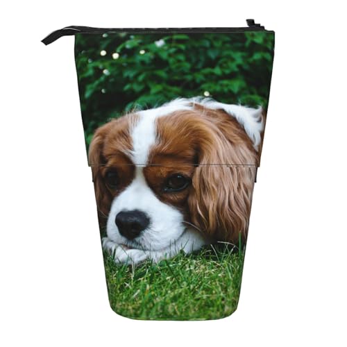 Tcoay Cavalier King Charles Spaniel, bräunlich-weiß, stehender Stiftehalter, Schreibwarentasche, Stiftetasche, Organizer, Teleskop-Federmäppchen von Tcoay