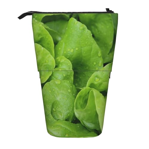 Tcoay Grüner Salat, stehender Stiftehalter, Schreibwarentasche, Stiftetasche, Organizer, Teleskop-Federmäppchen von Tcoay