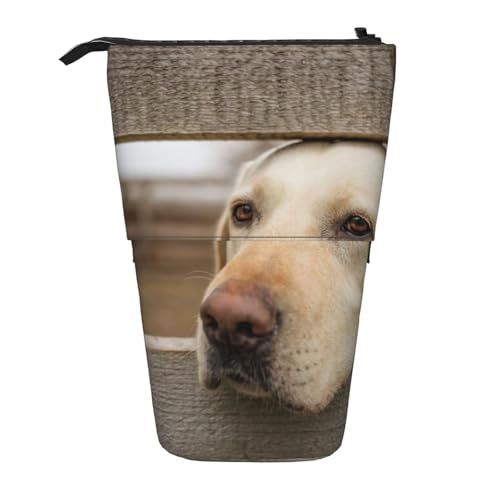 Tcoay Labrador Retriever Fotos, Stehender Stiftehalter, Schreibwarentasche, Federmäppchen, Organizer, Teleskop-Federmäppchen von Tcoay