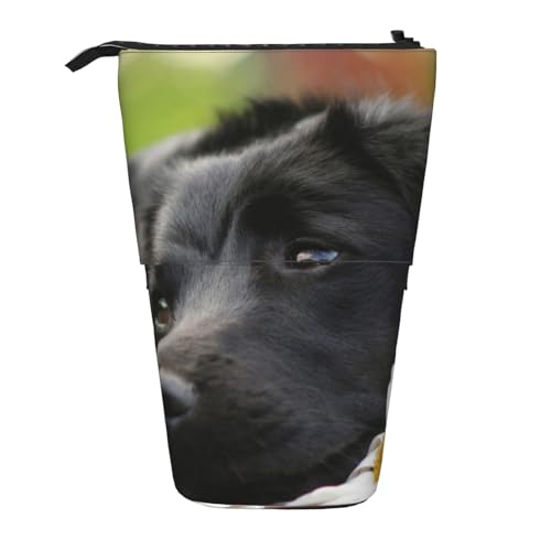 Tcoay Niedliches schwarzes Labrador-Hundemuster, stehender Stiftehalter, Schreibwarentasche, Stiftetasche, Organizer, Teleskop-Federmäppchen von Tcoay