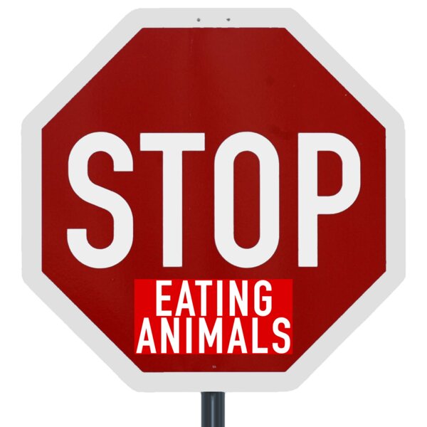 Team Vegan Stop eating animals - 10 Sticker von Team Vegan