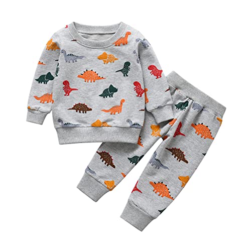 Tearfuty Baby Jungenkleidung Dinosaurier Print Langarm Oberteile Hosen 2tlg. Kleidung Sets Grau（18-24 Monate） von Tearfuty