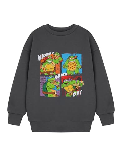 Teenage Mutant Ninja Turtles Graues Sweatshirt für Jungen | Pullover mit Grafik „Have A Slice Day“ | TMNT Kinderbekleidung | Leonardo, Michelangelo, Don und Raffael | Lustiges Cartoon Film Merchandise von Teenage Mutant Ninja Turtles
