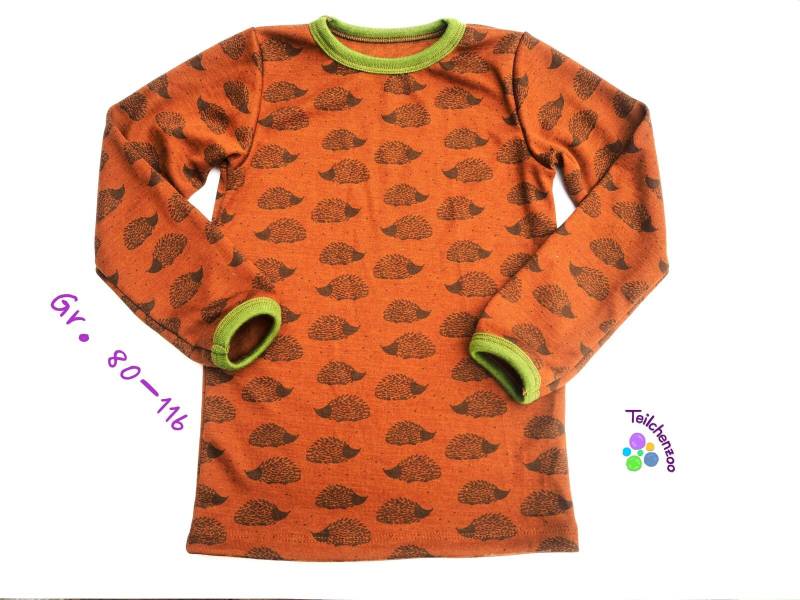 Bio Wolle-Seide Kindershirt Langarm Gr. 80-128 von Teilchenzoo