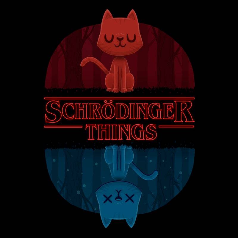 Schrödinger Dinge. Eine Perfekte T-Shirt Für Philosophen, Katzen-Liebhaber Und Seltsamere Dinge Fans. Kostenloser, Weltweiter Versand von Tembart