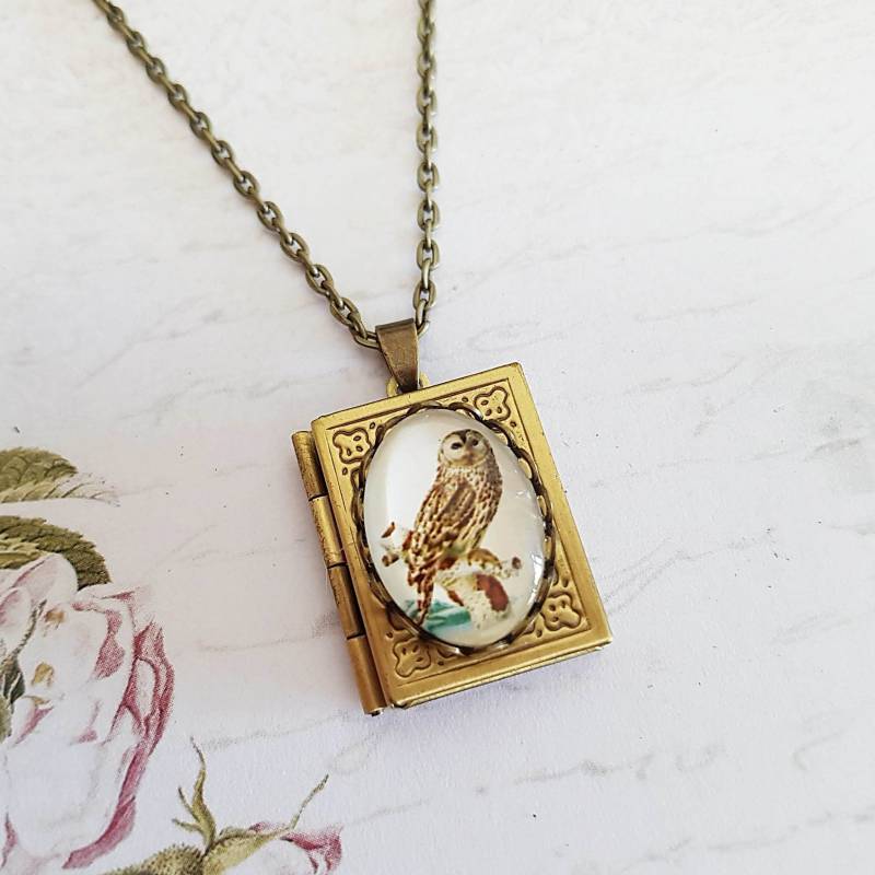 Weise Eulen-Buch-Medaillon-Halskette in Bronze, Vogel-Medaillon, Geheimes Andenken, Wählen Sie Ihre Länge von TemporalFlux