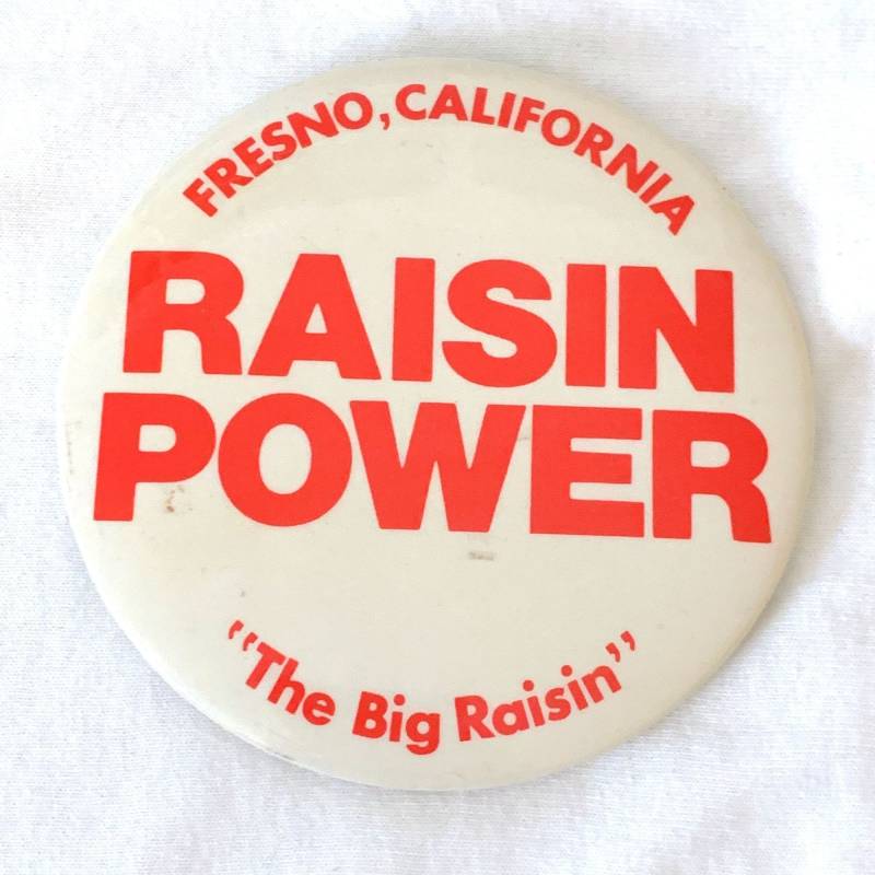 Raisin Power Pinback Button Pin The Big Fresno California Raisins von TexasGalTreasures