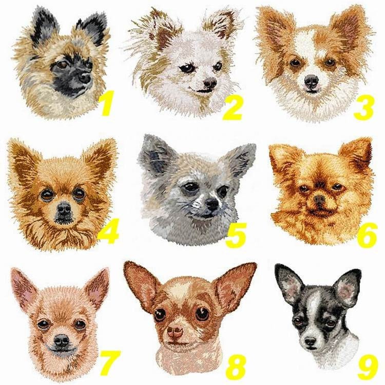 Chihuahua, Gesticktes Abzeichen, Gestickter Aufnäher, Hunderasse, Langes Haar, Kurzes Maschinenstickerei Zum Aufbügeln, Nähen, K9, Von Team Numérik von TextilePersonnalise