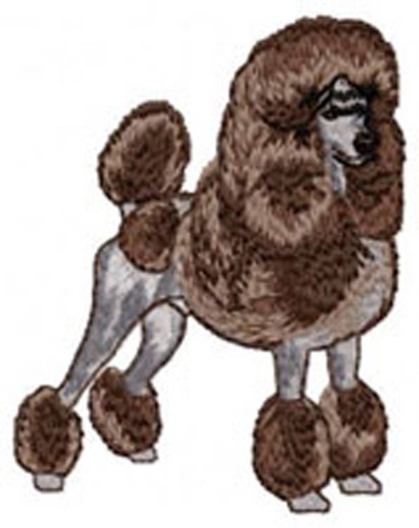 Pudel, Wappen, Gestickter Aufnäher, Hunderasse, Schwarzer Aprikosenpudel, Maschinenstickerei, Aufbügeln, Nähen, Pudelmama, K9, Von Team Numérik von TextilePersonnalise