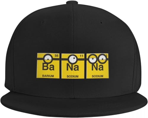 TeysHa Baseballkappe Snapback Sonnenhut Herren Cool Minione Cartoon Hip Hop Baseball Cap Damen Herren Custom Snapback Erwachsene Wissenschaft Chemie Witze Papa Hut Outdoor Geschenk von TeysHa