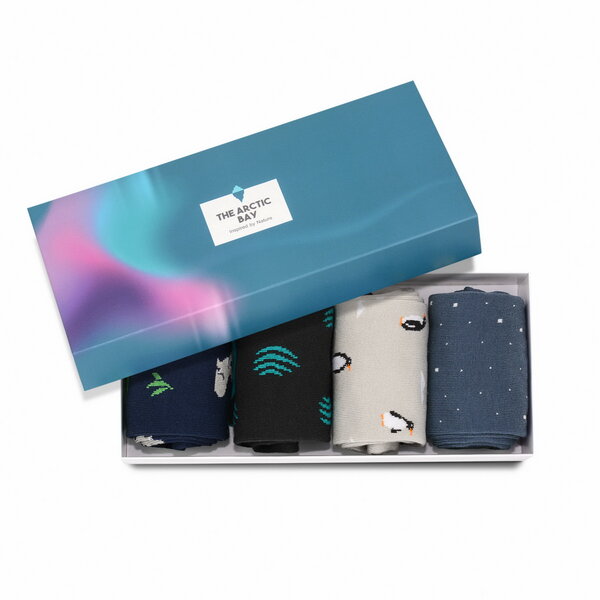 The Arctic Bay Die Arctic Box - Austral Edition - 4 Paar Socken von The Arctic Bay