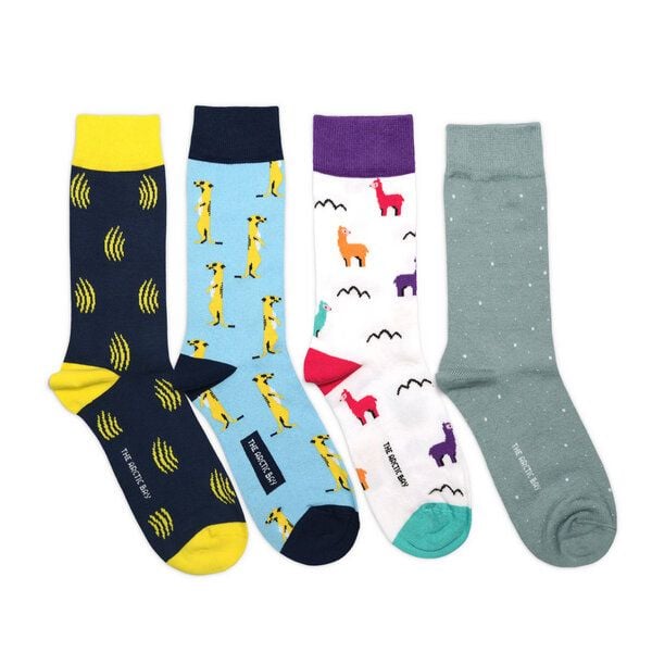The Arctic Bay Socken 4er-Pack aus Bio-Baumwolle – Orun Edition – Doppelfadig, Nachhaltig & Fair Hergestellt von The Arctic Bay