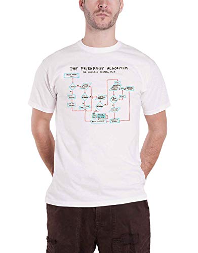 The Friendship Algorithm T-Shirt (White) von The Big Bang Theory
