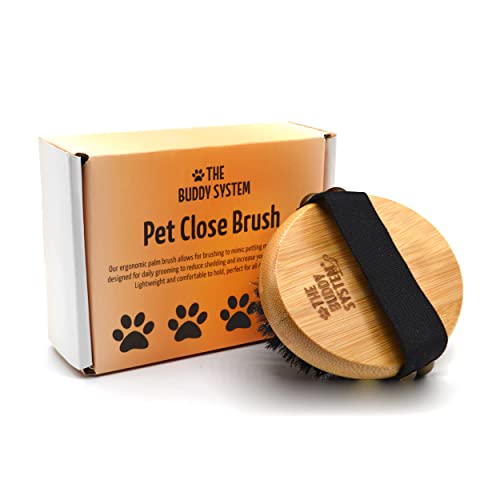 The Buddy System Pet Close Brush, Soft Touch Oval Palm Brush - Bambus Massage Handheld mit weichen Wildschweinborsten und Gummiband für Hunde und Katzen von The Buddy System