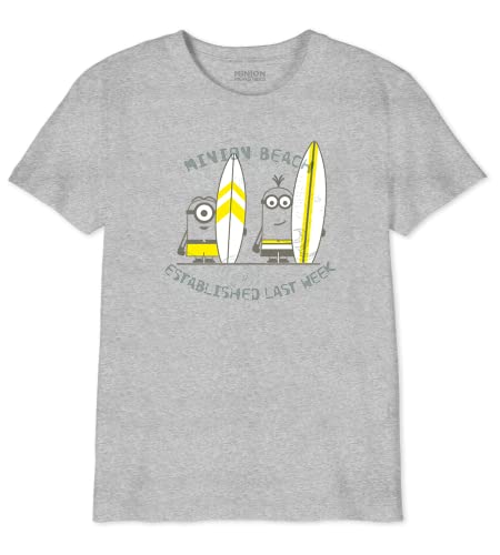 Minions Jungen Boutmints024 T-Shirt, Grau meliert, 14 Jahre von Minions