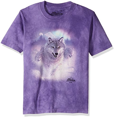 The Mountain Northern Lights Herren T-Shirt, violett, X-Groß von The Mountain