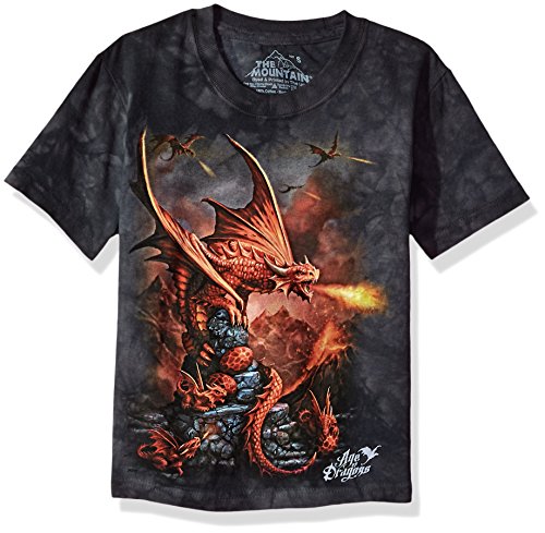 The Mountain Unisex-Kinder Fire Dragon T-Shirt, grau, Large von The Mountain