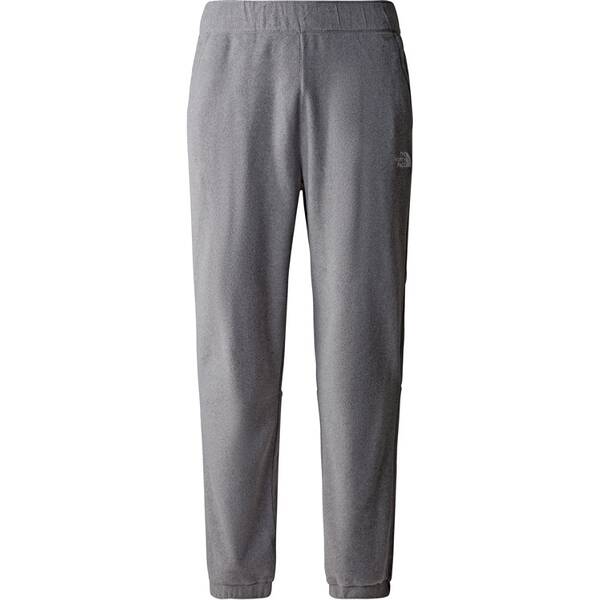THE NORTH FACE Herren Hose M 100 GLACIER PANT von The North Face