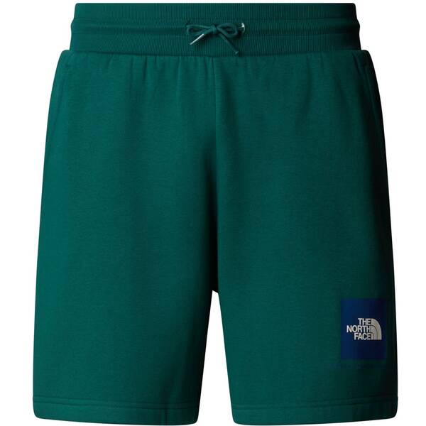 THE NORTH FACE Herren Shorts M BOX NSE REGULAR SHORT THE NORTH FACE Herren Shorts M BOX NSE REGULAR SHORT von The North Face