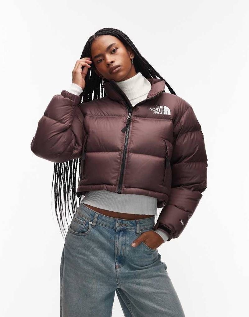 The North Face - Nuptse - Daunen-Pufferjacke in Dunkelbraun mit Cropped-Schnitt-Brown von The North Face