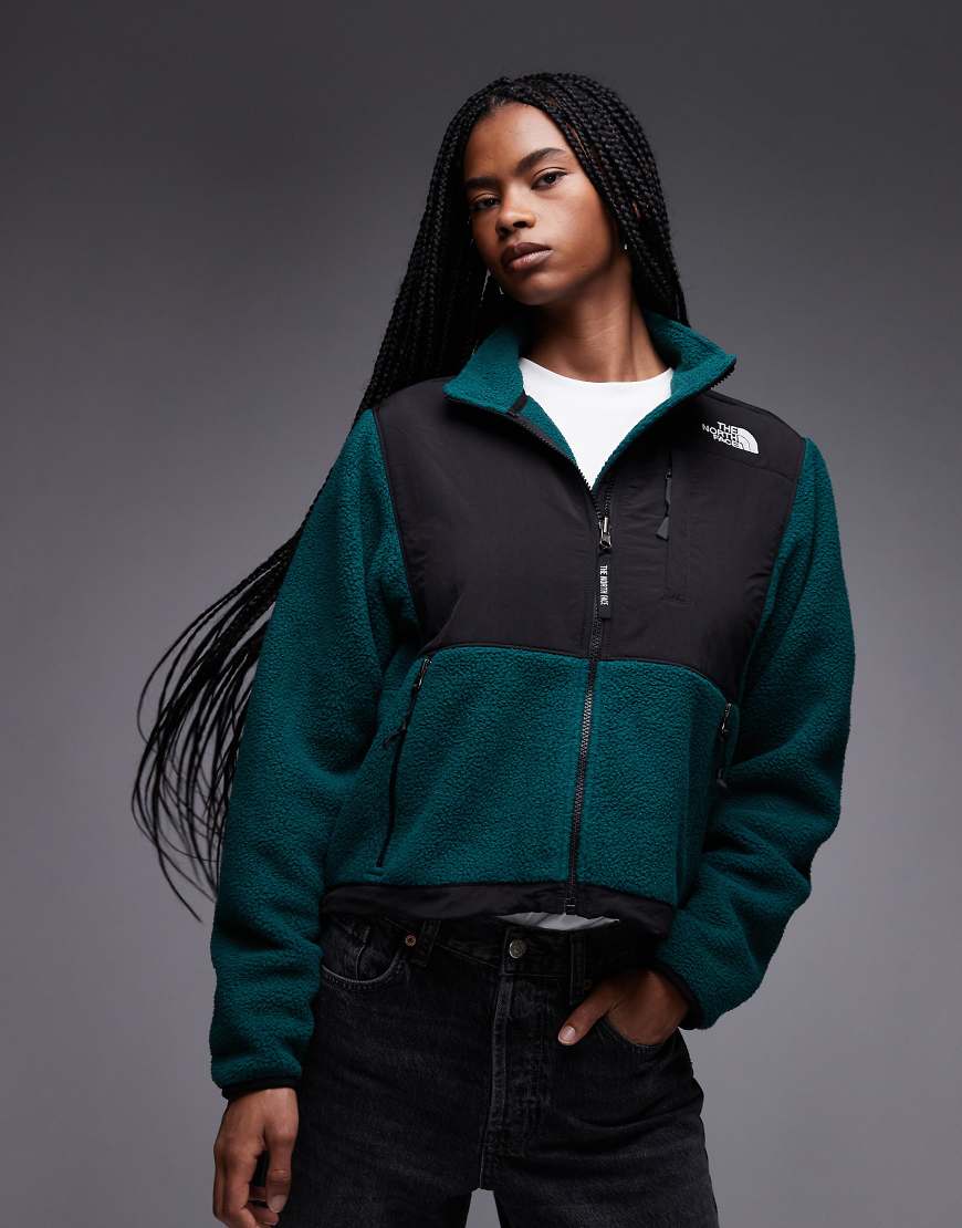 The North Face - Retro Denali - Schwere Polarfleece-Jacke in Grün von The North Face
