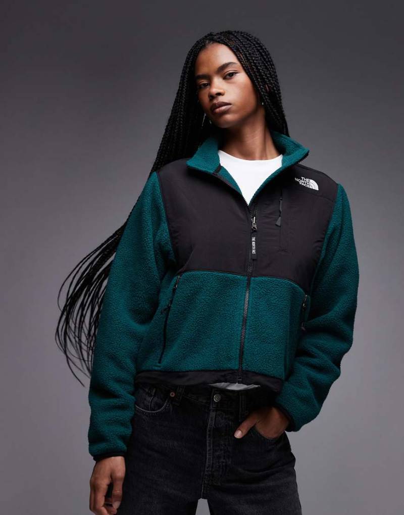 The North Face - Retro Denali - Schwere Polarfleece-Jacke in Grün von The North Face