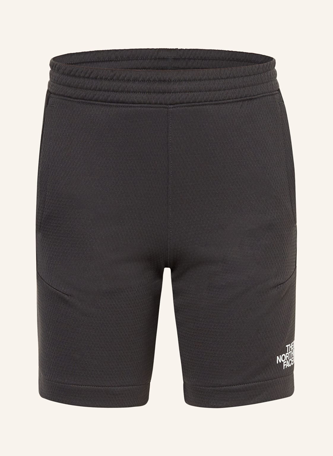 The North Face Shorts Mountain Athletics grau von The North Face