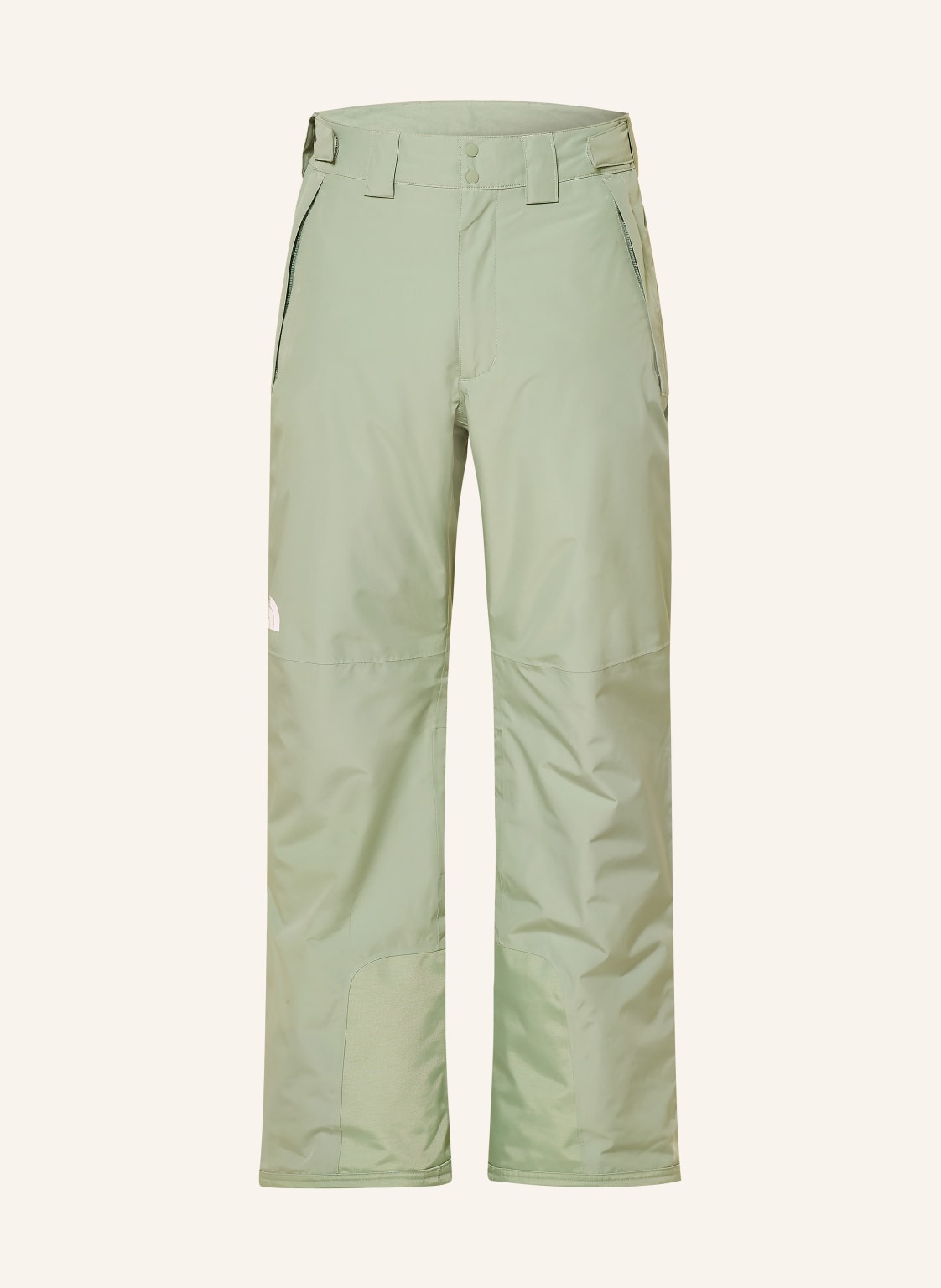 The North Face Skihose Descendit gruen von The North Face