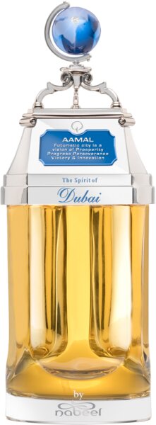 The Spirit of Dubai Aamal Eau de Parfum (EdP) 90 ml von The Spirit of Dubai