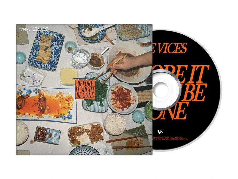 The Vices Before it Might be Gone CD multicolor von The Vices