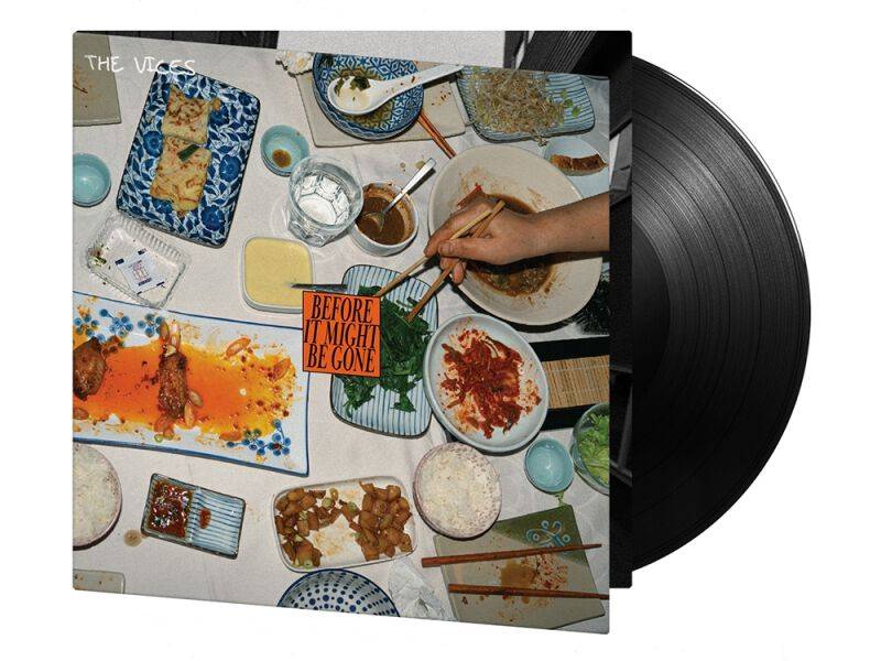 The Vices Before it Might be Gone LP multicolor von The Vices