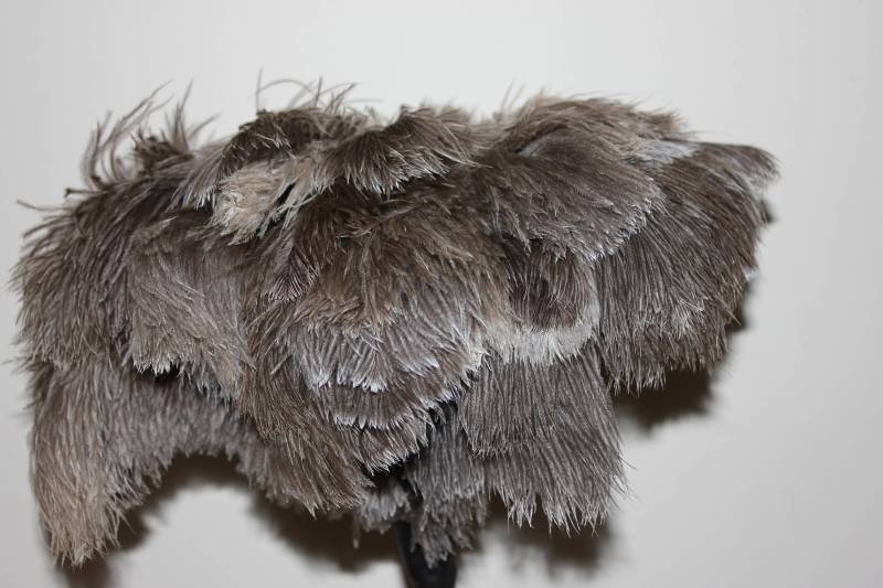 Ein Weicher Straussenstaubwedel Der Ersten Klasse Mit Einem Großen Federkopf 55 Grm Gewicht von TheAustDusterCo