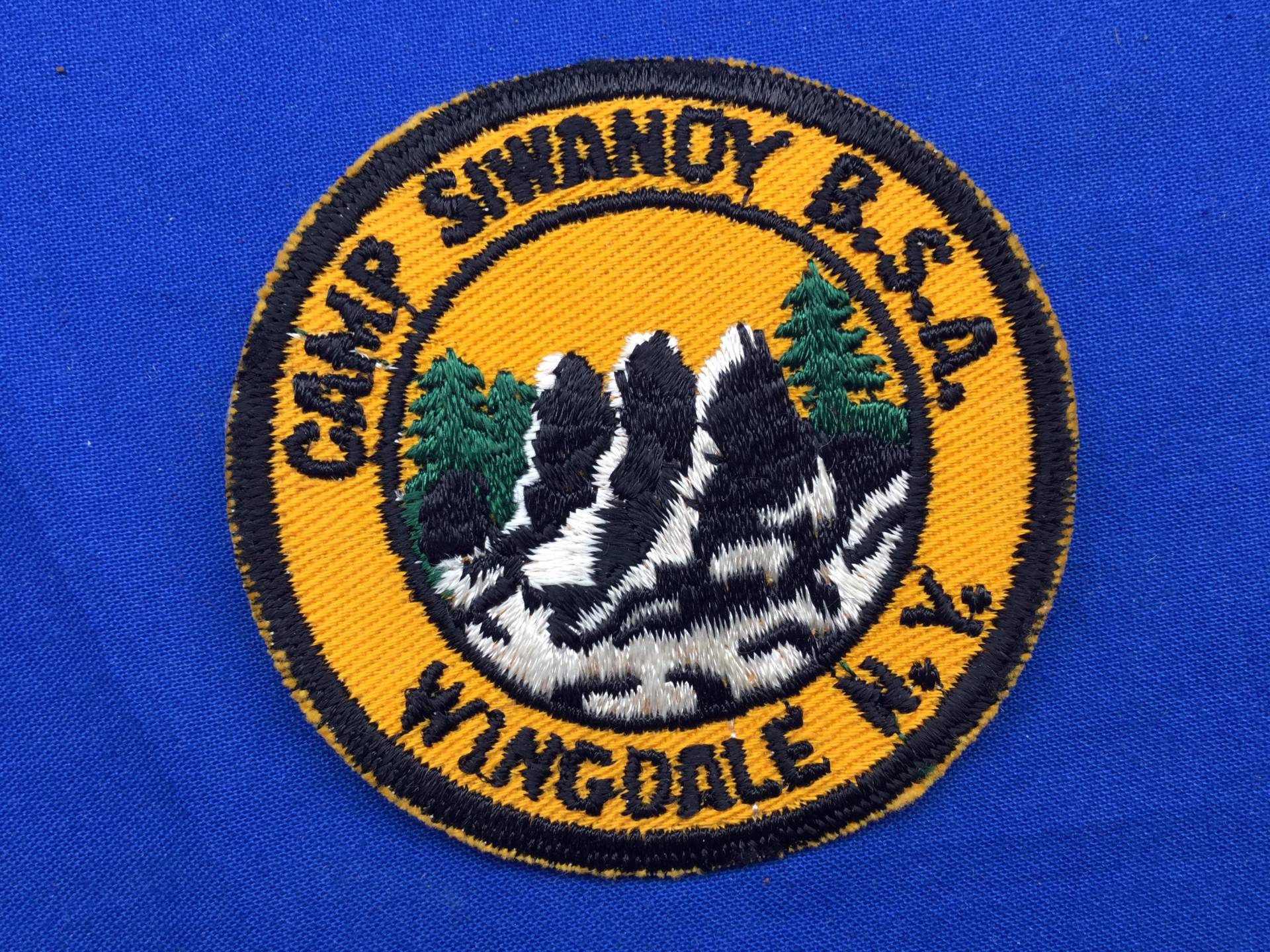 Boy Scout 1950 Lager Siwanoy B.s.a. Wingdale N.y. Aufnäher von TheBoyScoutCollector