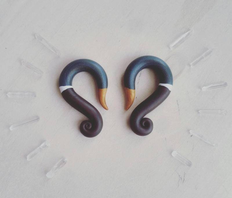 stockente Enten Spirale // Gauges Custom Plugs stockente Enten Spirale // Gauges Custom Plugs von TheCreatorsCreations