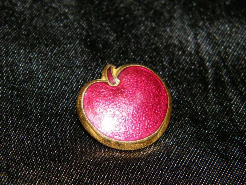 Vintage Style Red Shiny Apple Collectible Pin/Anstecknadel /Anstecknadel Read von TheCrewMBD