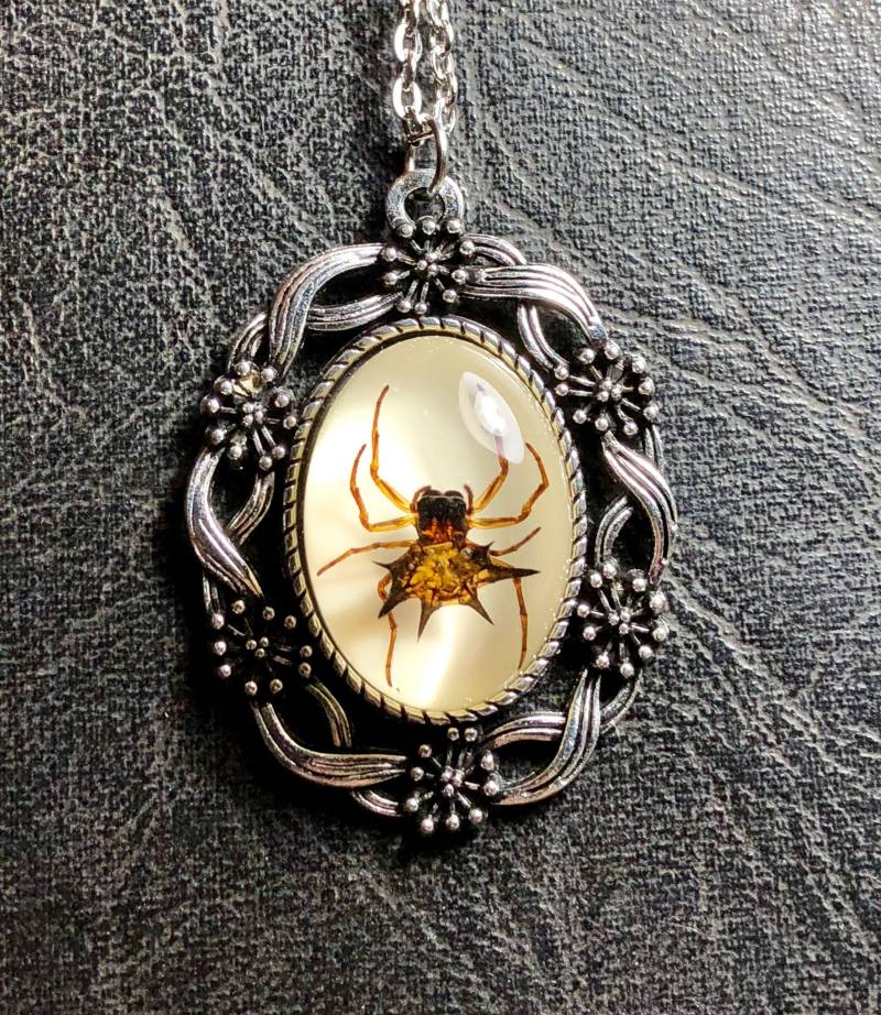 Bänder Und Blumen Spinne Spiny Orb Weaver Specimen in Resin Cameo Halskette Geier Kultur Arachnophobie Silber Ton Schmuck Bänder Und Blumen Spinne Spiny Orb Weaver Specimen in Resin Cameo Halskette Geier Kultur Arachnophobie Silber Ton Schmuck von TheCuriositeer