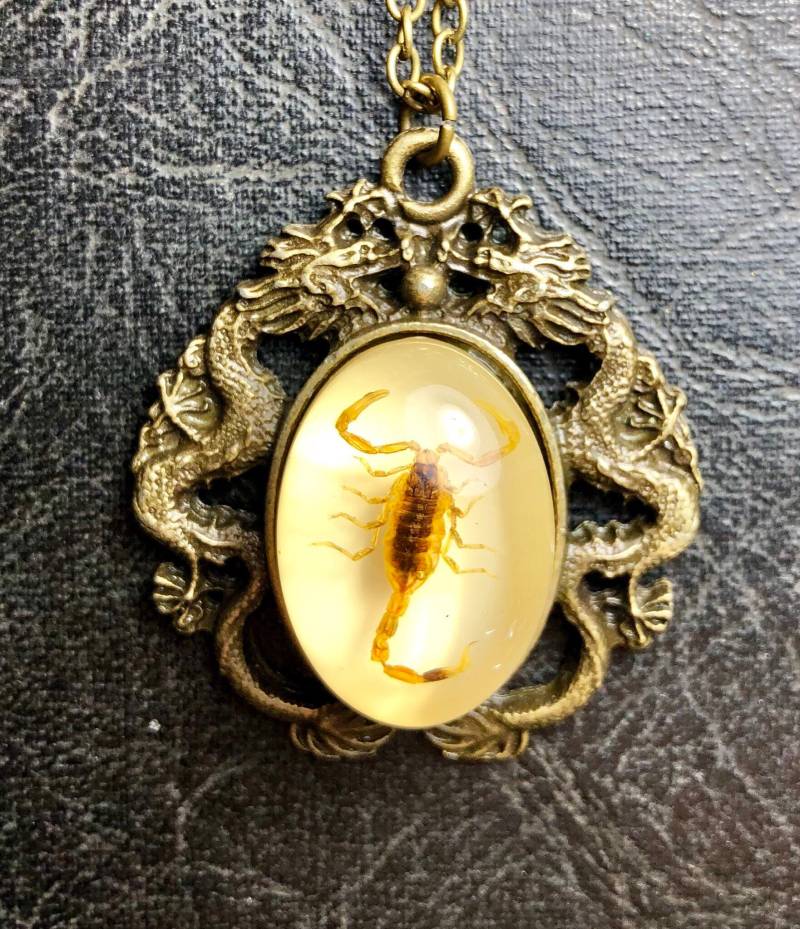 Bronze Doppeldrache Echt Goldener Wüstenskorpion Konservierte Insektenprobe Cameo Geier Kultur Skorpion Statement Halskette Bronze Doppeldrache Echt Goldener Wüstenskorpion Konservierte Insektenprobe Cameo Geier Kultur Skorpion Statement Halskette von TheCuriositeer