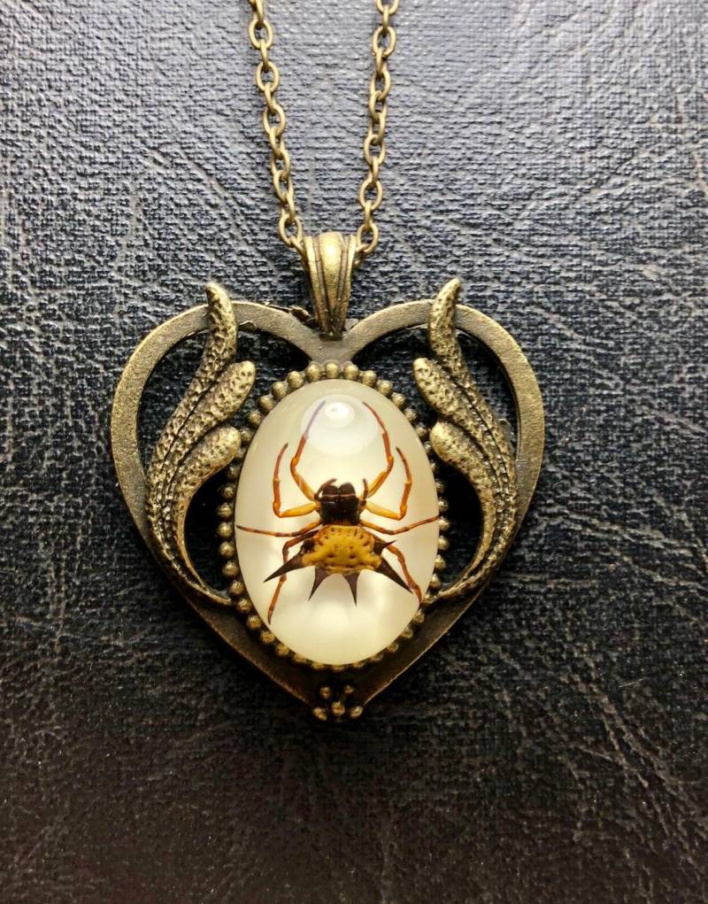Bronze Herz Echte Spinne Spiny Orb Weaver Specimen in Resin Cameo Halskette Geier Kultur Arachnophobie Barock Schmuck Bronze Herz Echte Spinne Spiny Orb Weaver Specimen in Resin Cameo Halskette Geier Kultur Arachnophobie Barock Schmuck von TheCuriositeer