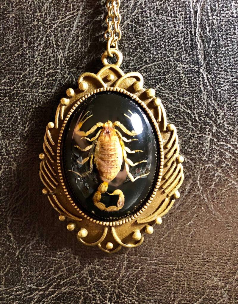 Bronze Schild Echt Golden Gelb Bark Skorpion Probe in Schwarz Harz Cameo Entomologie Geier Kultur Halskette von TheCuriositeer