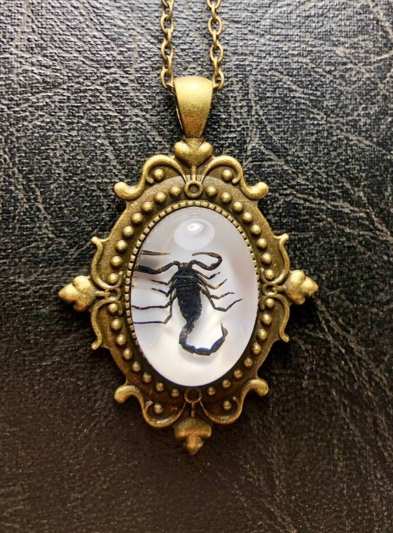 Bronze Schriftrolle Skorpion Schwarzer Entomologie Totes Insekt Bug Specimen in Resin Cameo Diamant Halskette Bronze Schriftrolle Skorpion Schwarzer Entomologie Totes Insekt Bug Specimen in Resin Cameo Diamant Halskette von TheCuriositeer