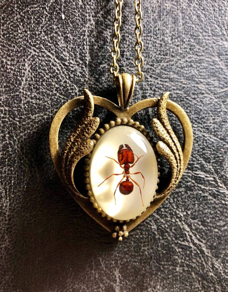 Echte Große Kopf Riesige Rote Ameise Probe Herzförmige Cameo Harz Entomologie Bronze Bug Halskette Picknick Crasher von TheCuriositeer