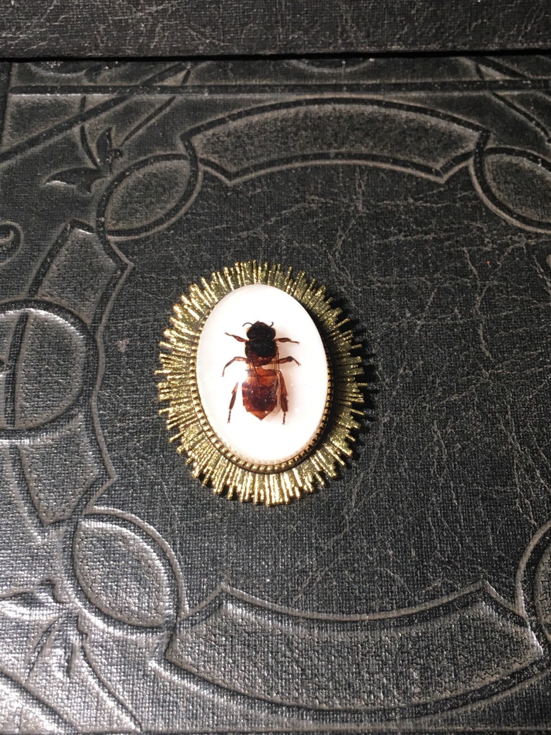 Echte Honigbiene Brosche Lichtstrahl Konserven Bienen Specimen in Resin Cameo Geier Kultur Domed Pin Echte Honigbiene Brosche Lichtstrahl Konserven Bienen Specimen in Resin Cameo Geier Kultur Domed Pin von TheCuriositeer