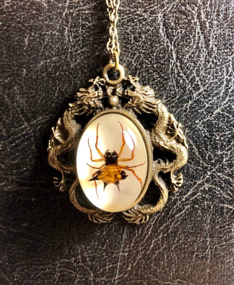 Echte Spinne Doppeldrache Spiny Orb Weber Probe in Harz Cameo Bronze Halskette Geier Kultur Arachnophobie Bug Schmuck von TheCuriositeer