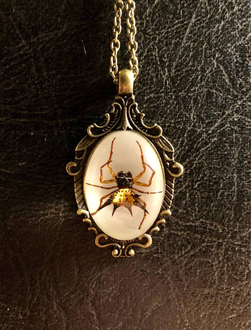 Echte Spinne Spiny Orb Weaver Specimen in Resin Cameo Bronze Halskette Geier Kultur Arachnophobie Barock Rolle Schmuck von TheCuriositeer