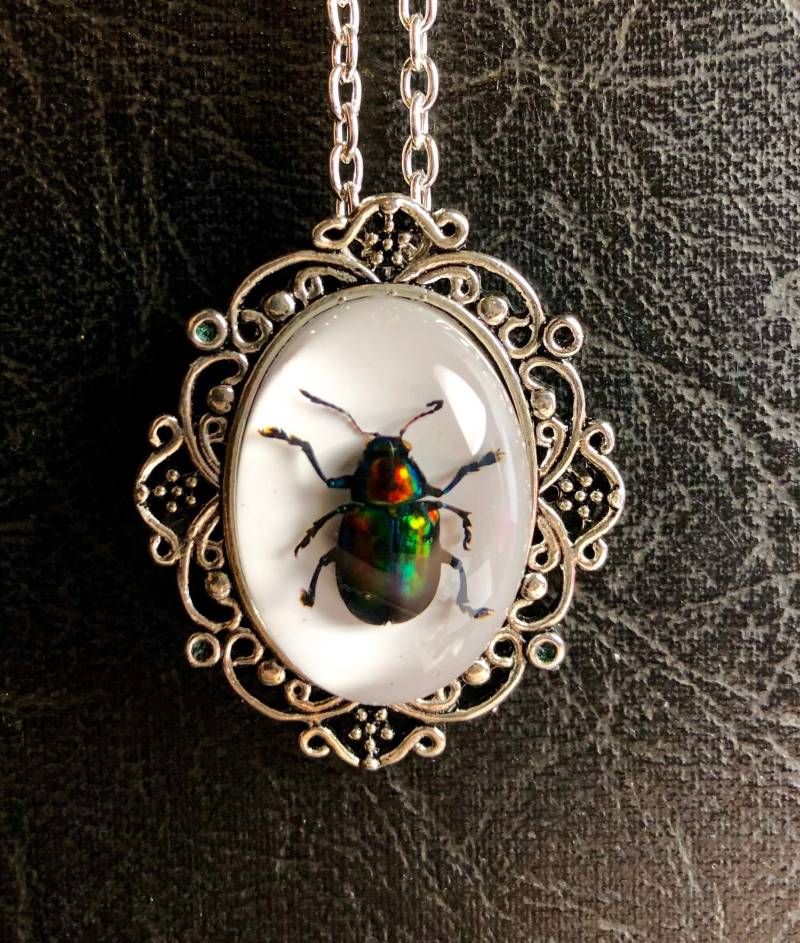 Echter Blattkäfer Regenbogen Insekt Konservierte Probe in Harz Cameo Silber Spitze Rahmen Geier Kultur Statement Bug Halskette von TheCuriositeer
