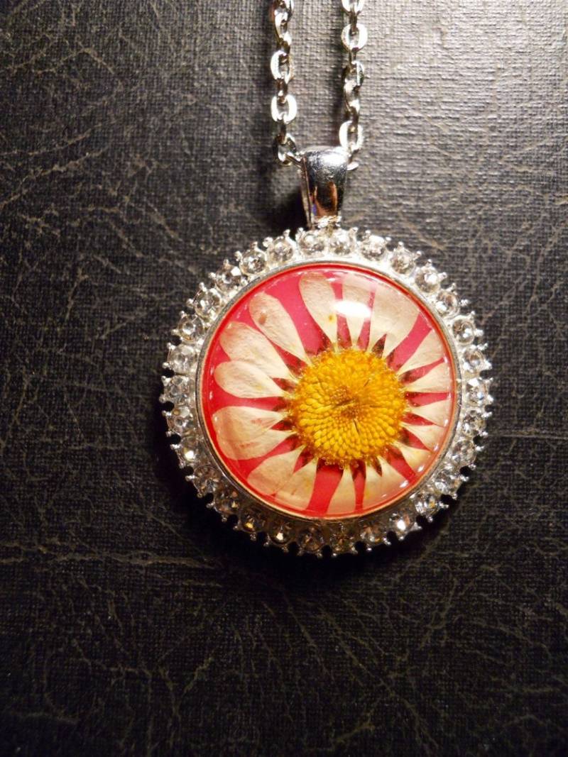 Echtes Pink Und Weiß Erhaltene Gänseblümchen Gepresste Getrocknete Blume Specimen Sparkle Boho Halskette Echtes Pink Und Weiß Erhaltene Gänseblümchen Gepresste Getrocknete Blume Specimen Sparkle Boho Halskette von TheCuriositeer