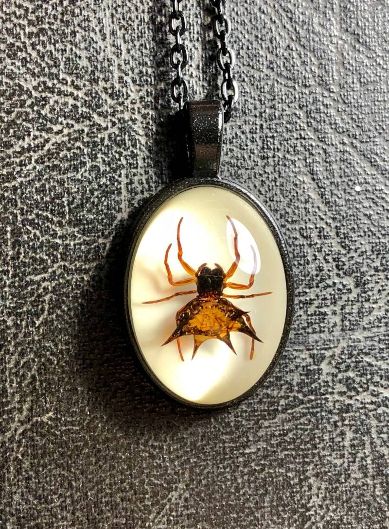 Einfache Schwarze Spiny Orb Weberspinne Specimen in Plain Harz Cameo Maskulinum Geier Kultur Spike Arachnophobie Schmuck Einfache Schwarze Spiny Orb Weberspinne Specimen in Plain Harz Cameo Maskulinum Geier Kultur Spike Arachnophobie Schmuck von TheCuriositeer